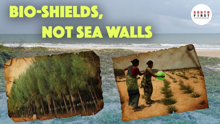 non-mangrove bio-shields Tamil Nadu