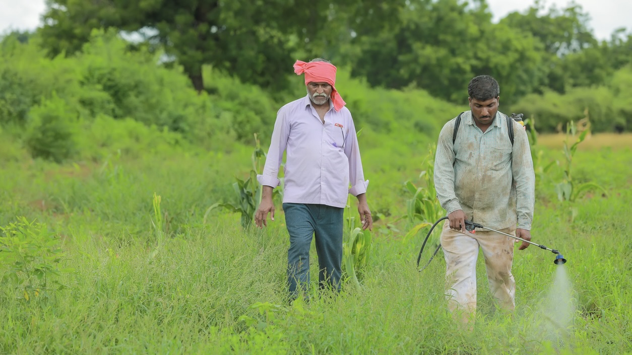 Pesticide Management Bill, 2025 falls short of addressing risks to farmers and public health