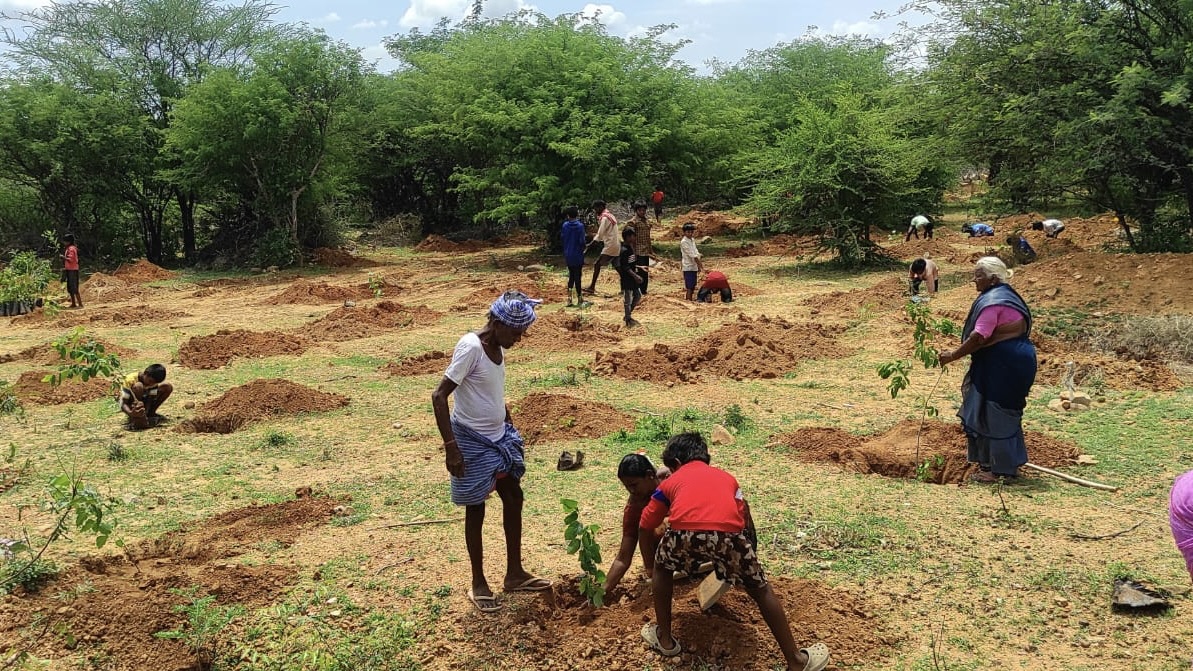 How drought-hit Anantapur in Andhra Pradesh brought water bodies back to life