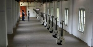 The Kochi Biennale Foundation was established in 2010, leading to the launch of the Kochi-Muziris Biennale in 2012.