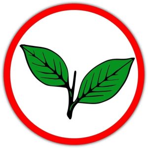 The symbol of KC(M).