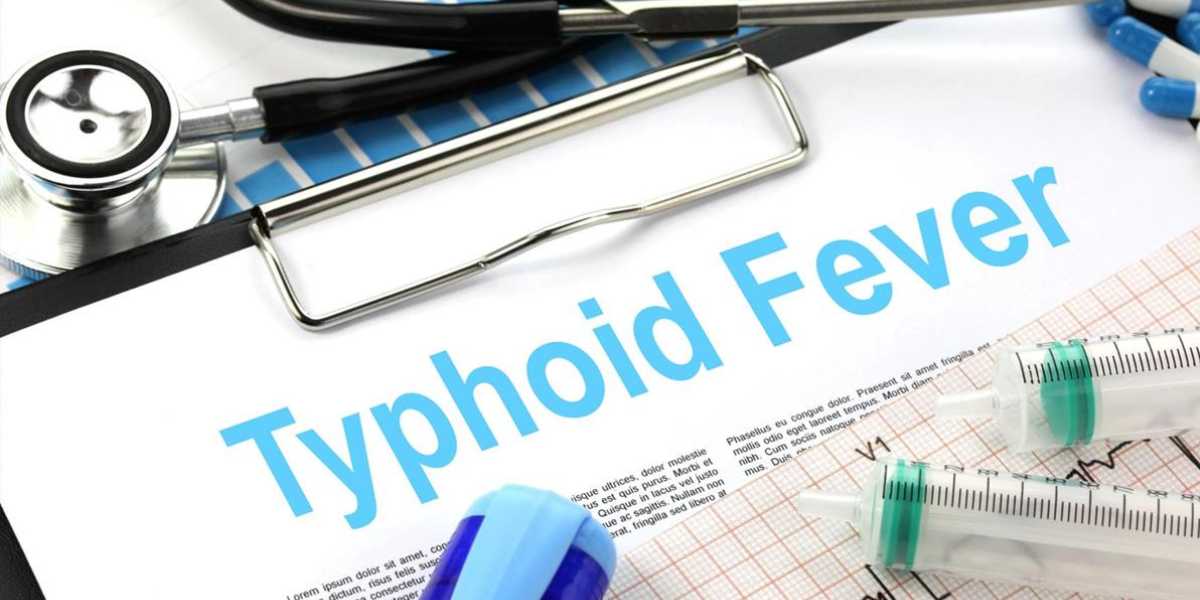 Typhoid (Creative Commons)