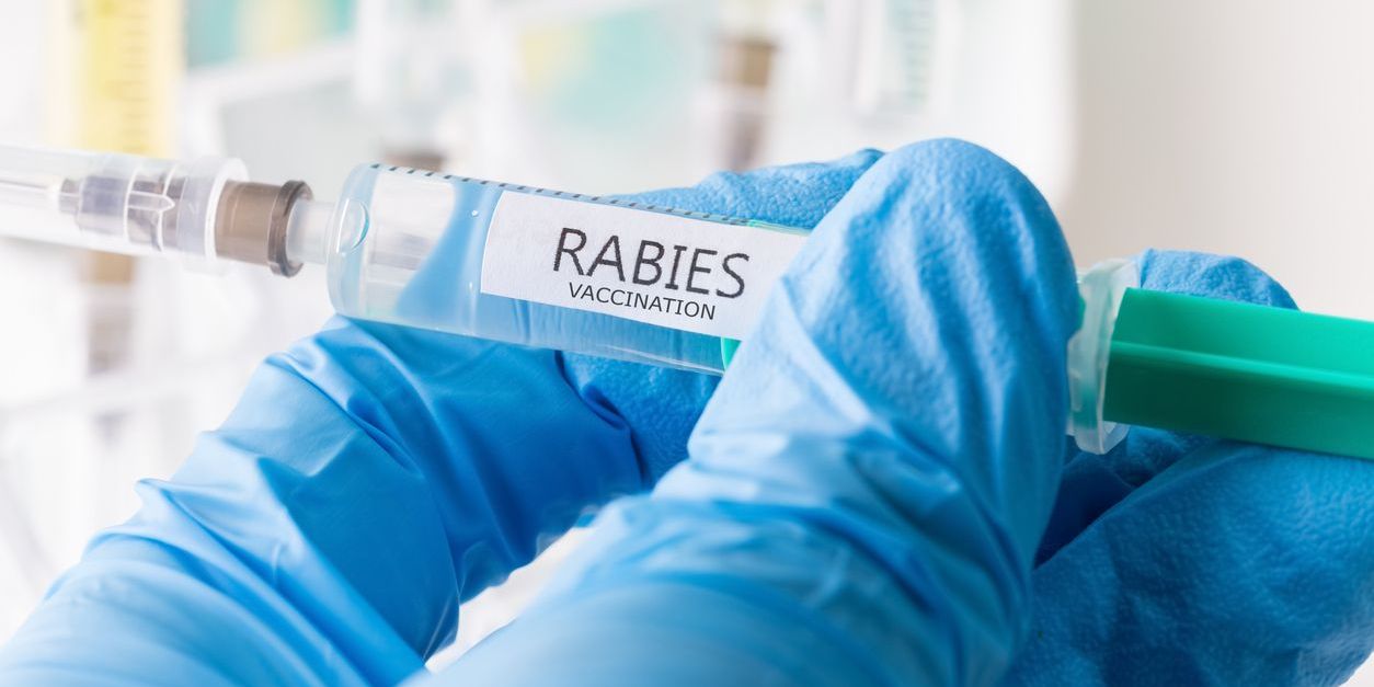 Rabies vaccination. (iStock)