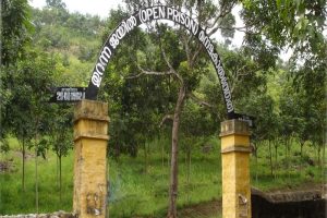 Open Prison & Correctional Home, Nettukaltheri.