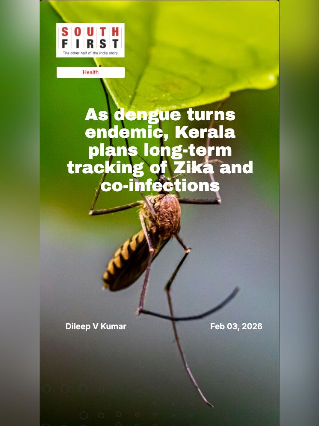As dengue turns endemic, Kerala plans long-term tracking of Zika and co-infections