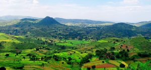 Araku Valley