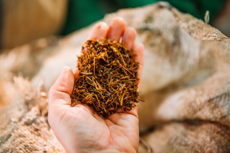 Relief for Andhra tobacco growers as Centre scraps excise duty on raw unbranded produce