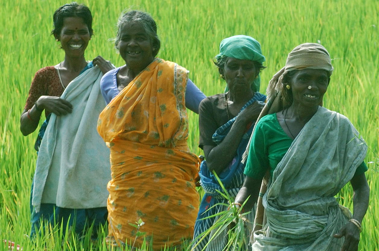 Representational image. Credit: iStock