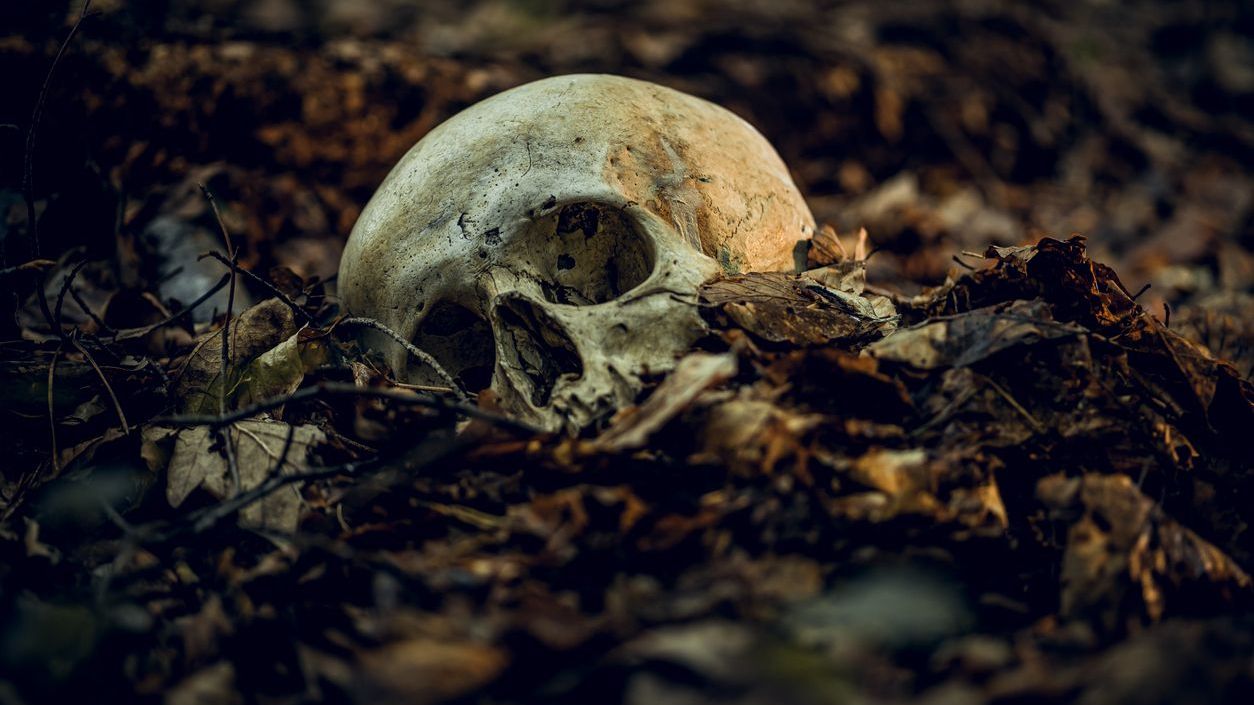 Human skull. Representative image. (iStock)