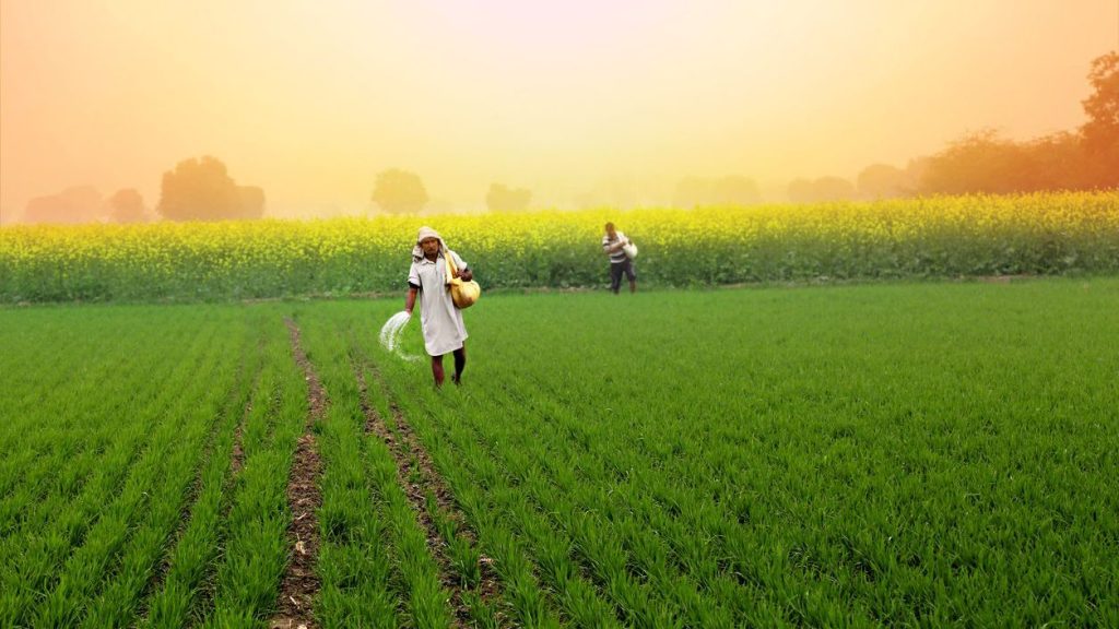 A welfare law meant to give farmers certainty has itself become a story of uncertainty in Keralam