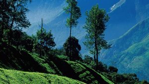 Faith, failed harvest and new faces: Inside Kerala's high range vote battle