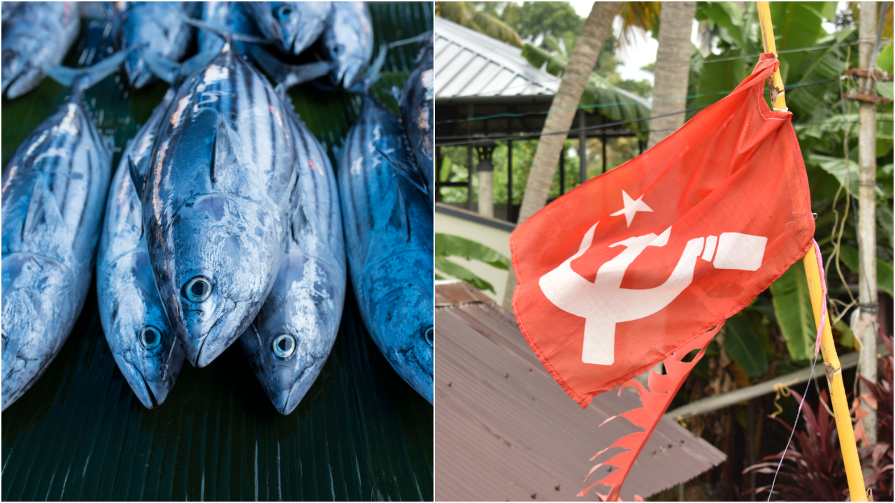 A single fish now finds itself at the centre of a larger political irony: can revolutionary taste buds crave premium catch?