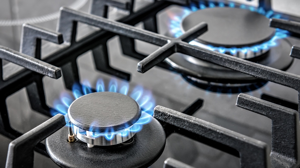 Andhra encourages piped natural gas adoption with subsidy to cut LPG dependence