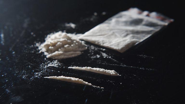 Hyderabad farmhouse raid: Police recover cocaine and revolver; say accused fired shot