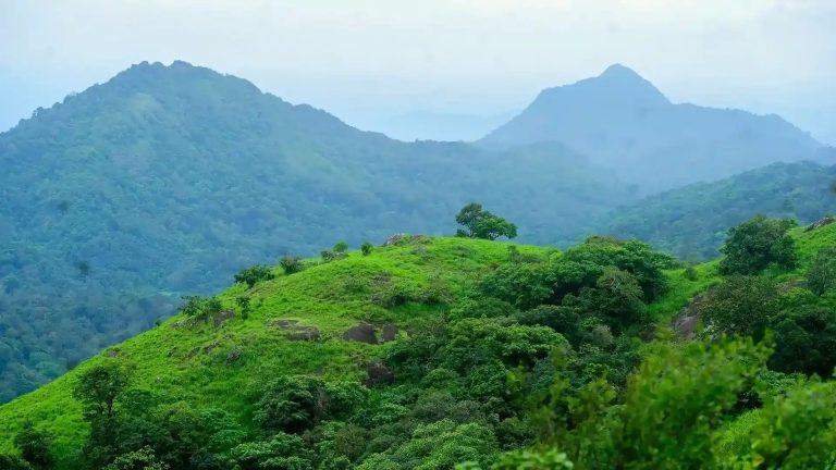 Water Resources Minister Roshy Augustine inaugurated the Palkulamedu trekking route in Idukki with much fanfare on 28 February. (Kerala Tourism)