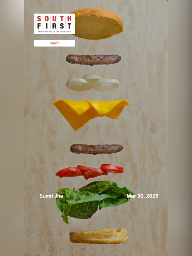 Ultra-processed diets linked to lower fertility in men, early embryo changes