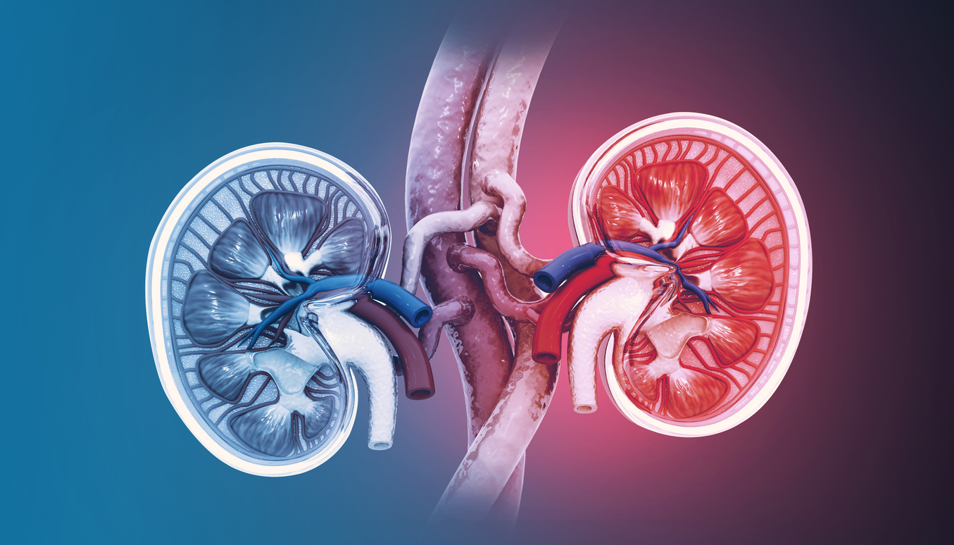 Representational image. Credit: iStock