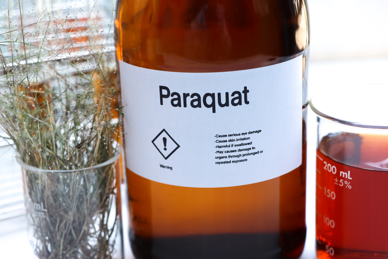 Paraquat is a highly toxic herbicide. It has no antidote.