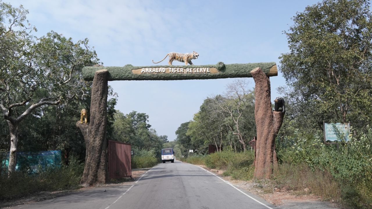Amrabad Tiger Reserve.