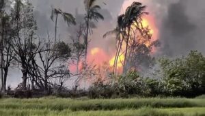 Thrissur Pooram to be held without fireworks after Mundathikode tragedy