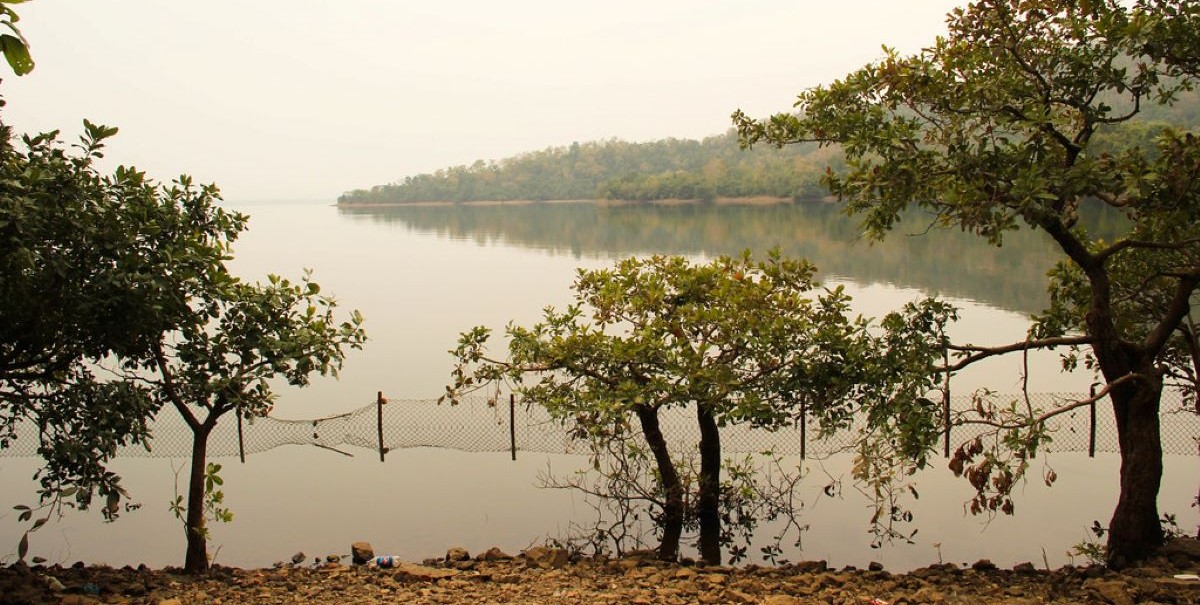 Telangana has constituted district-level committees to identify deemed forests.