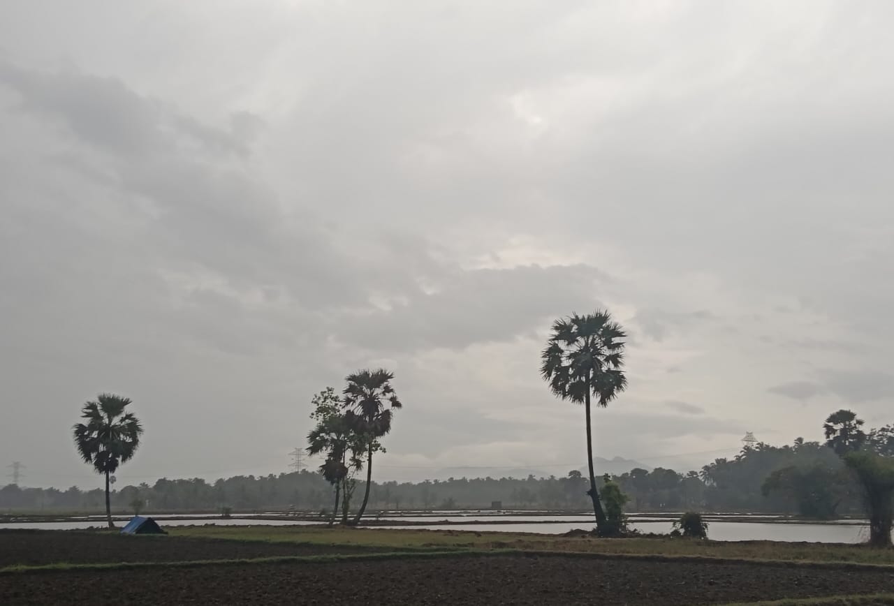 During monsoon breaks, rainfall reduces, and cloud cover clears, allowing intense solar radiation to heat the surface.