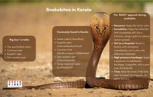 Snakebites in Kerala.