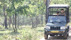 After Dubare tourist death, Karnataka to replace open camper vehicles used for wildlife safaris
