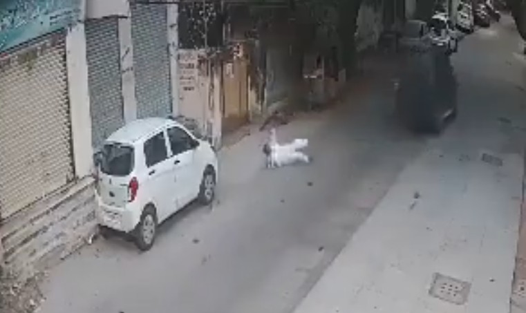 Screengrab from the incident.
