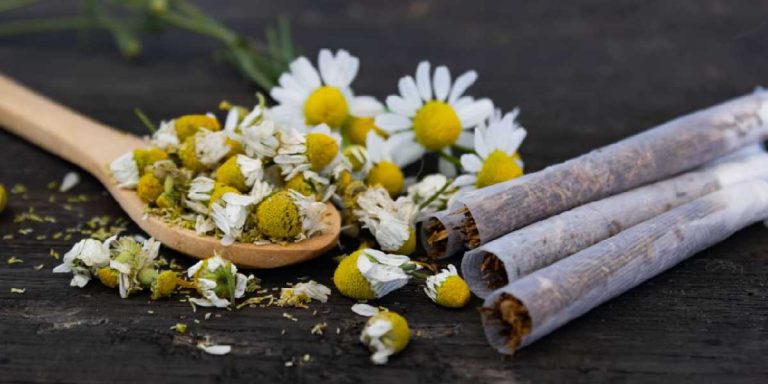 Herbal cigarettes. Representative Image.