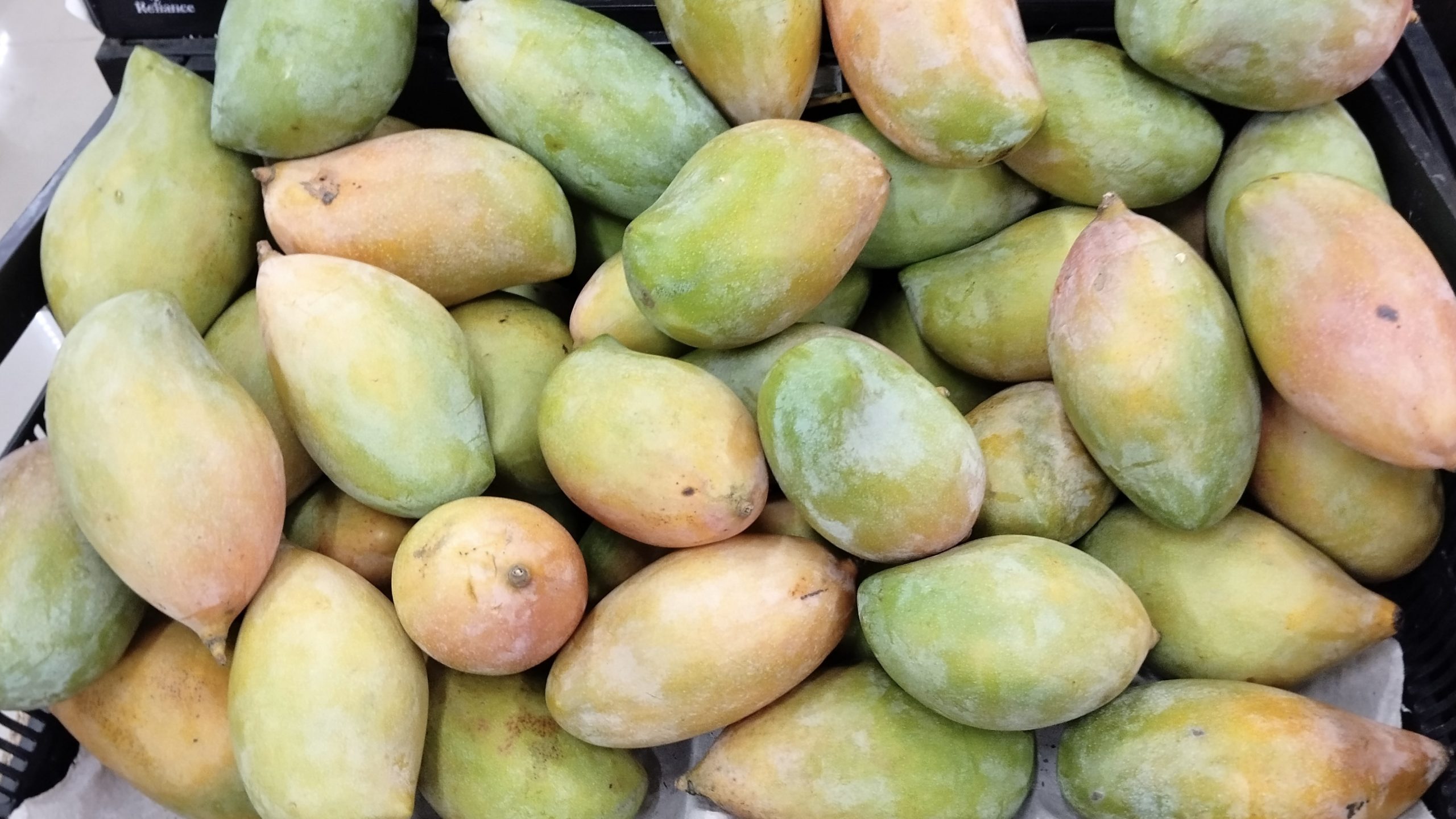 Centre approves procurement of 1.3 lakh MT of Totapuri mangoes from Karnataka after Kumaraswamy’s intervention