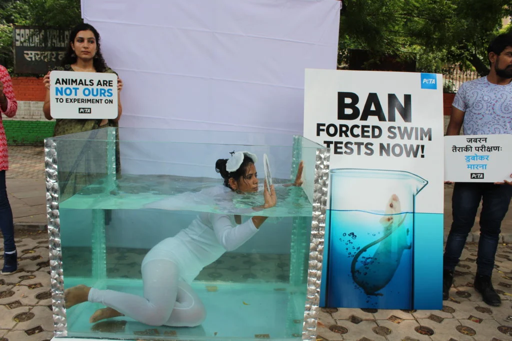People for the Ethical Treatment of Animals has been advocating a total ban on the forced swim test. (File pic/PETA India)