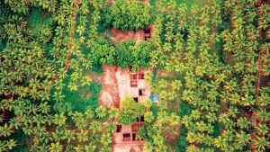 ASI to re-examine Ramakrishna’s crucial Keezhadi report at site, says VCK MP
