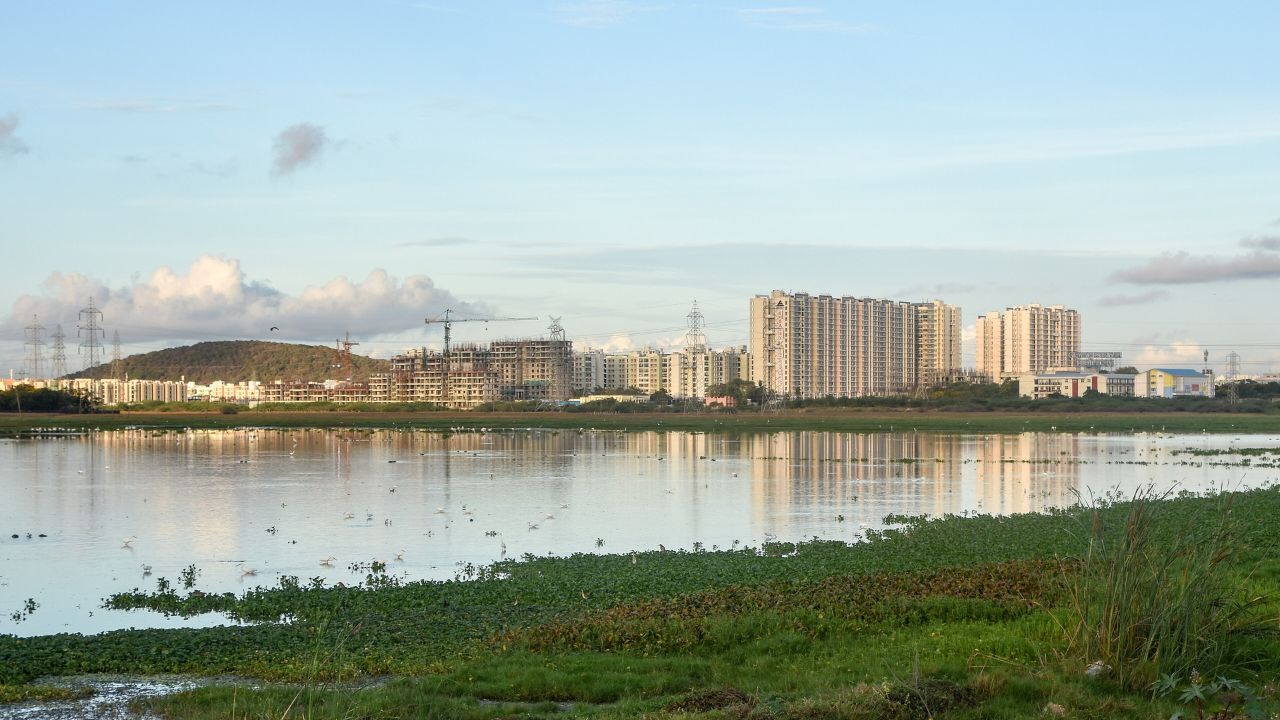 Pallikaranai marshland. (Creative Commons)