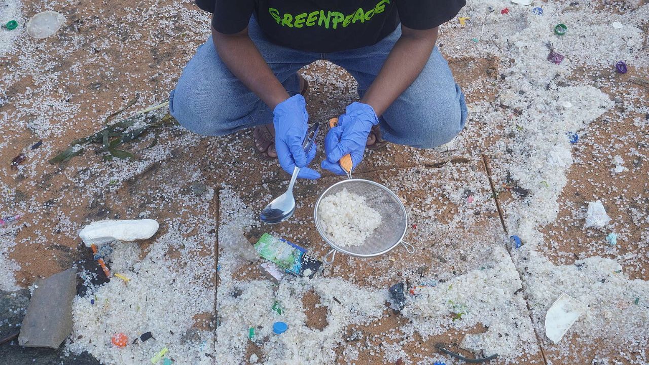 Plastic nurdles on the shore following MSC Elsa 3 wreck. (Greenpeace)