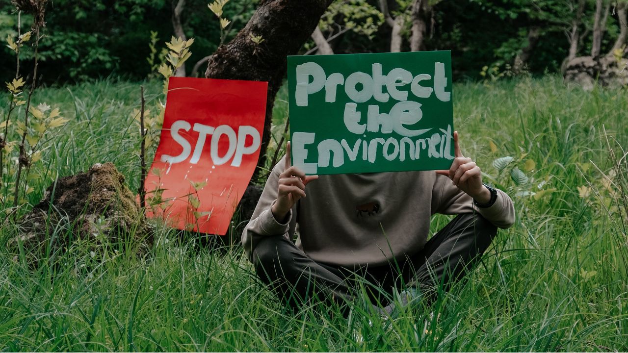 World Environment Day. Representative Image. (Creative Commons)