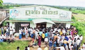 Ground Report: Fertilizer App's glitches are forcing us back to queues, say Telangana's farmers
