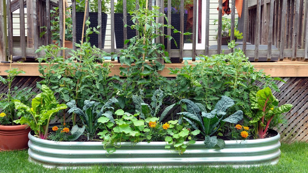 Palakkad Nutri Garden