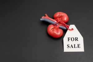ED raids Kerala hospitals in organ trafficking probe