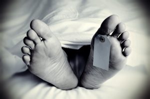 Death toll rises to 5 after ammonia gas leak at Thiruvallur seafood plant; 67 hospitalised