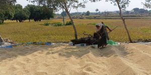 Unfulfilled dreams in rural Telangana: Reflections from the ground