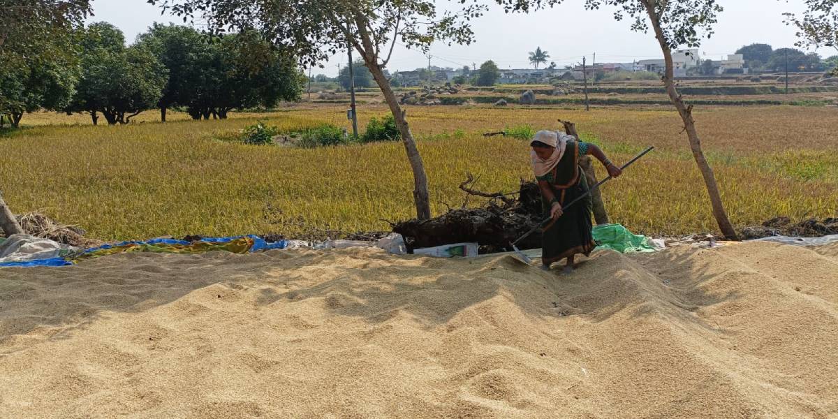 Telangana village