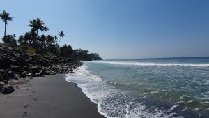 CPI urges TN government to withdraw land allocation approval for atomic mineral mining project in Kanniyakumari