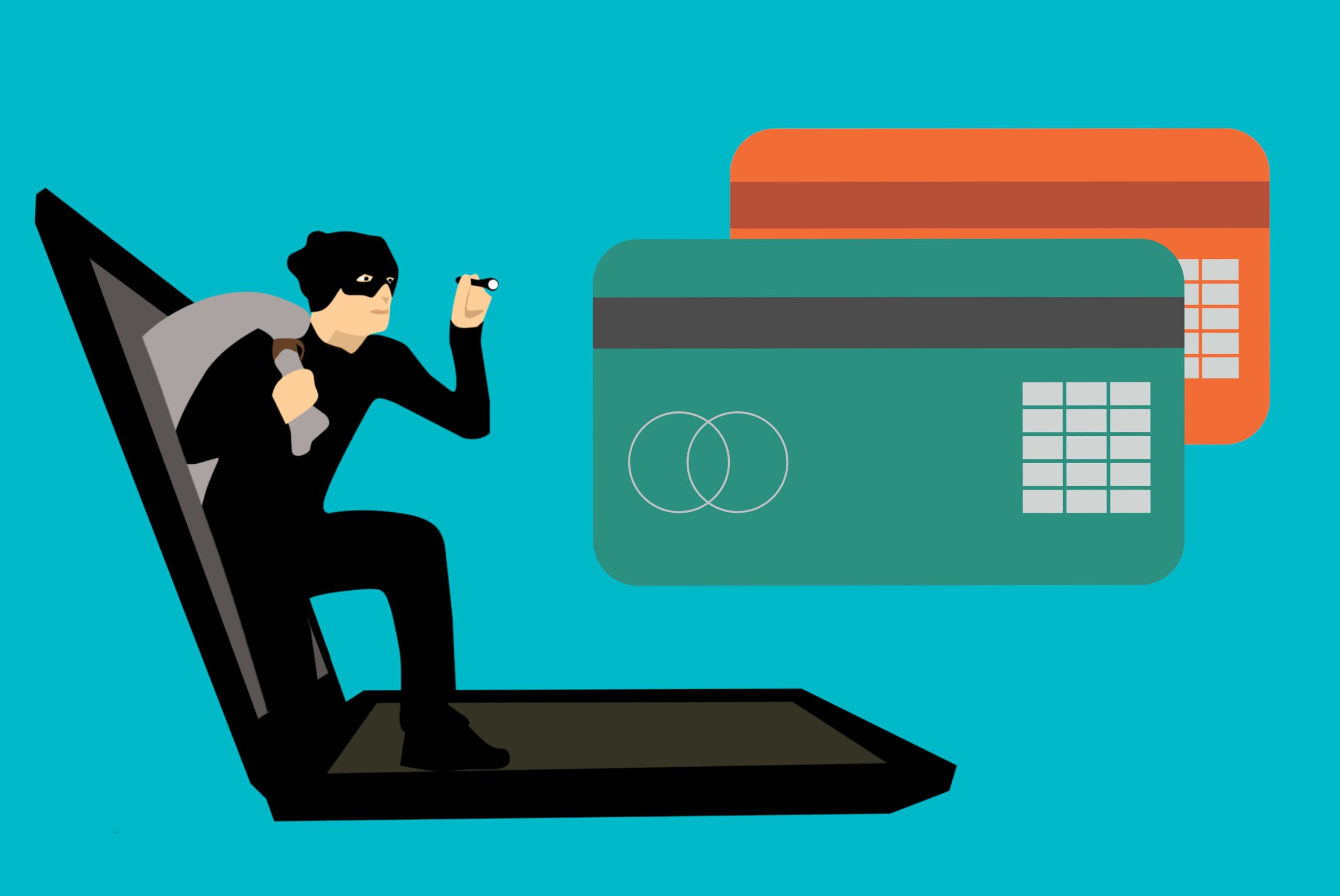 Cyber fraud