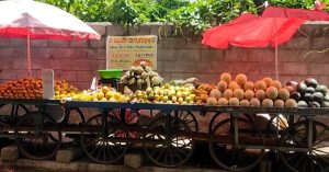 Fruit carts line a pavement at NR Colony. Many residents said street venders were a part of the area's identity.