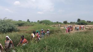 Did Minister Nirmalkumar misrepresent AAI’s findings on Parandur? Report raises questions