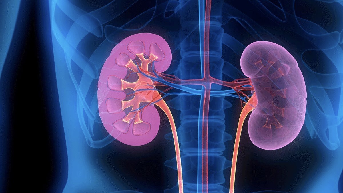 Kidney disease