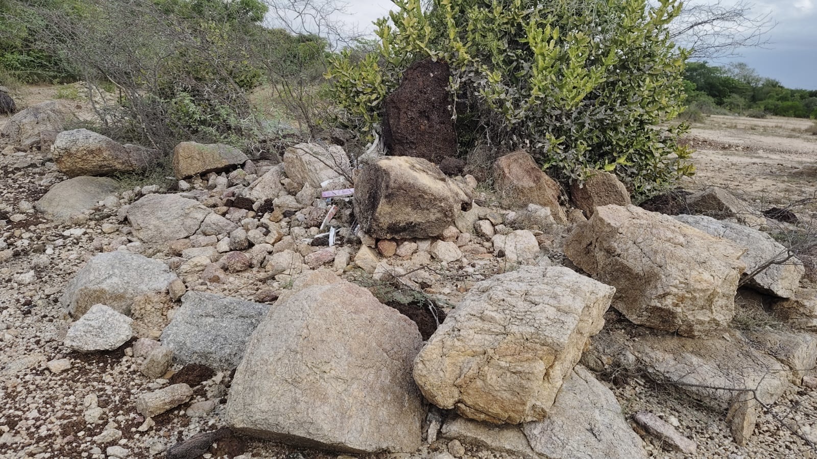 Erosion uncovers 3,000-year-old Megalithic burials at Sivaganga’s Pravalur; residents alert authorities