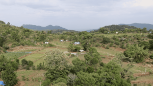A view of the agricultural landscape and hills around Alleri in Vellore district’s Jawadhu Hills.
