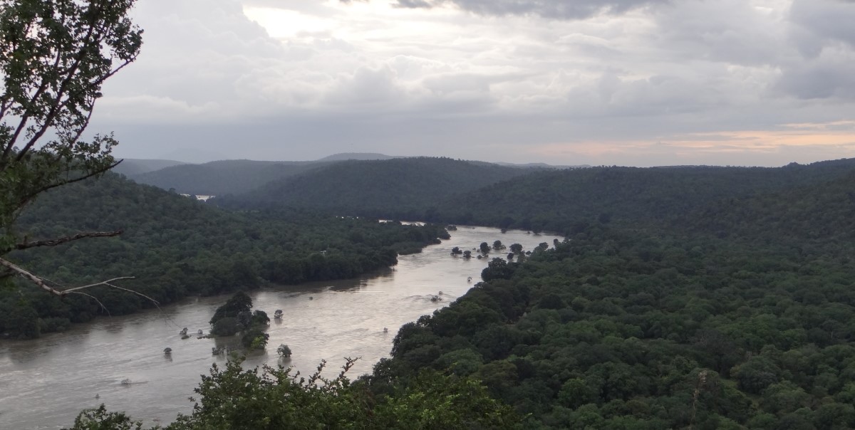 Forest officials claimed that they fired in retaliation, killing three men.